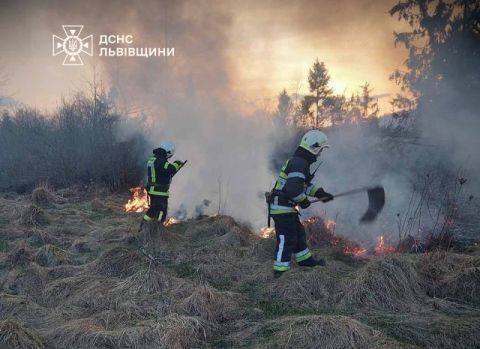 За добу на Львівщині зафіксували вісім пожеж сухостою