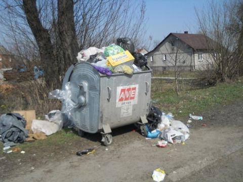 AVE демонтувала 22 із 31 контейнера для сміття на вул. Стрийській у Львові