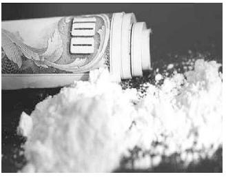 Польські спецслужби затримали українця з 20 кг кокаїну та 50 тис. євро