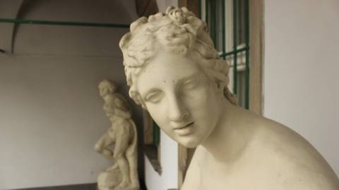 Курс валют у Львові на 20 червня