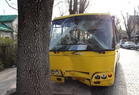 У Львові маршрутка врізалася в дерево: загинула людина, п'ятеро травмованих