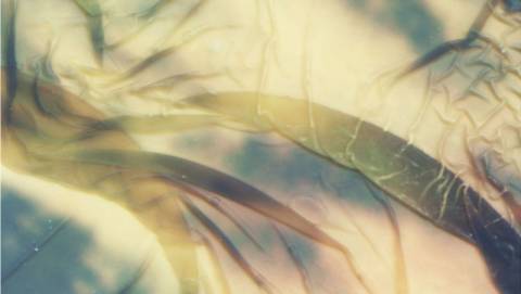 Погода на четвер: ясно, +10°C