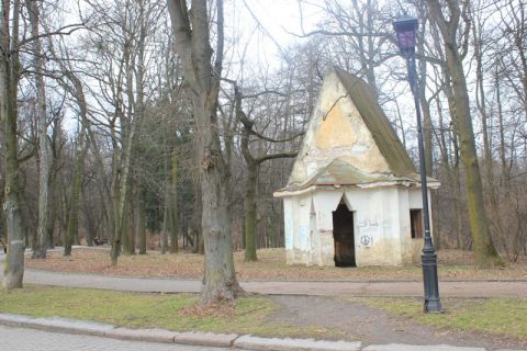 Львівська мерія витратить півмільйона гривень на дерева