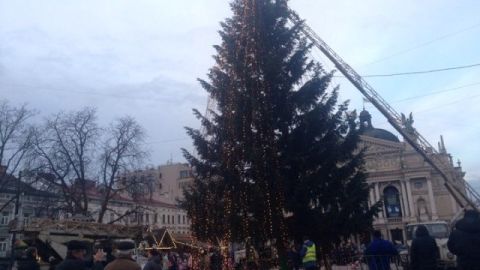 Головною ялинкою Львова опалюватимуть комунальну оранжерею