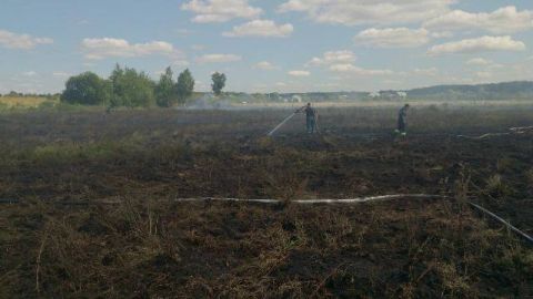 На Львівщині зайнялися три торфовища