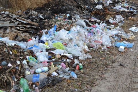 На Львівщині ліквідували понад 150 стихійних сміттєзвалищ