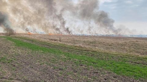 За добу на Львівщині зафіксували чотири пожежі сухостою