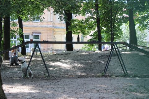 У Львові просять створити більше майданчиків для вигулу собак