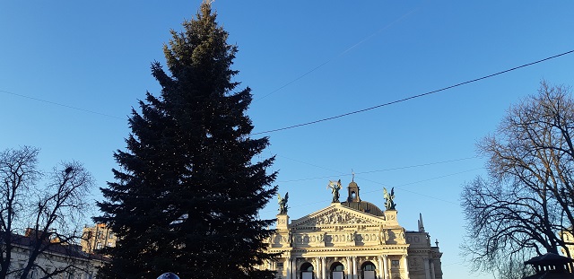 Львів'ян запрошують до головної ялинки колядувати під звуки органу