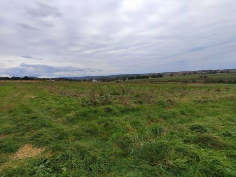 У Львові вперше здають в оренду землю сільськогосподарського призначення