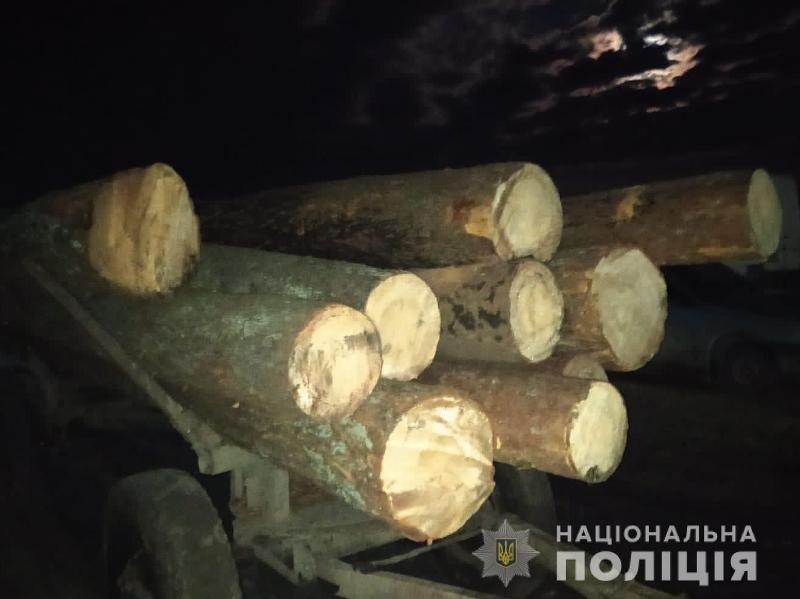 Мешканця Червоноградського району затримали за незаконну вирубку лісу