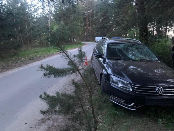 На Львівщині підліток за кермом Volkswagen Passat збив жінку з немовлям