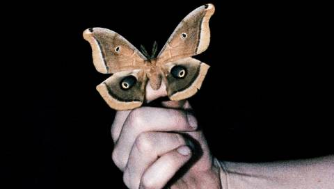 Погода на п'ятницю: без опадів, +14°C