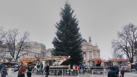 Львів отримав безкоштовно 20-метрову ялинку від мешканців Яворівщини