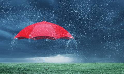 Львівська облрада закупила 15 парасоль за понад 25 тисяч гривень