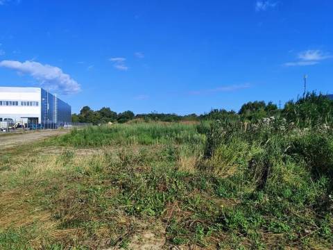 Дві ділянки у Львові, призначених для ведення бізнесу, продали за понад 40 мільйонів гривень