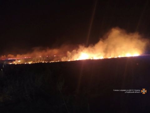 За добу на Львівщині зафіксували більше десяти пожеж сухої трави