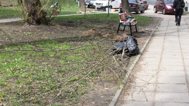 Міськраді забракло 1,4 мільйони на озеленення Львова