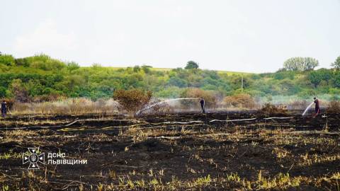 За добу на Львівщині зафіксували майже 40 пожеж сухостою