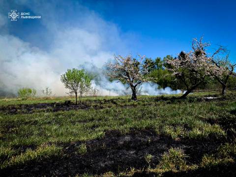 На Стрийщині через спалювання сухостою жінка з опіками потрапила до лікарні