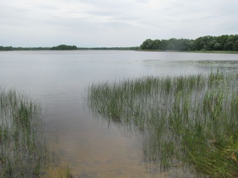 На Львівщині під час купання в озері потонув чоловік