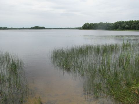 В Україні можуть обмежити використання води