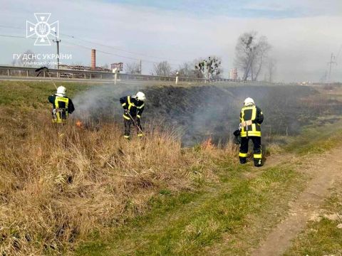 За добу на Львівщині зафіксували шість пожеж сухостою