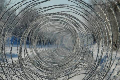 Пісні фронту 2026 (# 195)