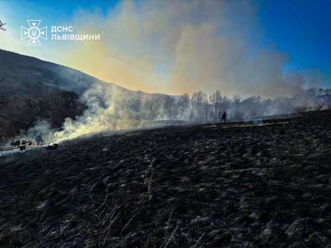 На Львівщині з початку року зафіксували майже три тисячі пожеж в екосистемах