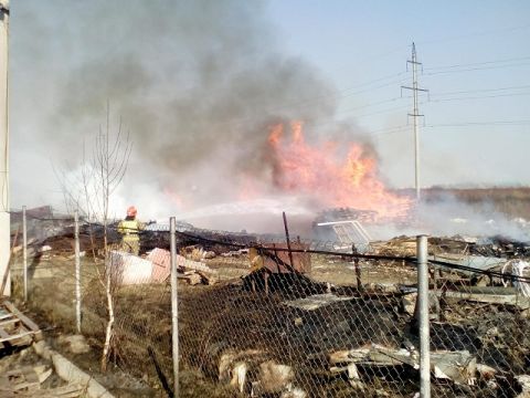 На об'їзній Львова палії сухостою підпалили 40 га: вогонь поширився на ліс та промзону