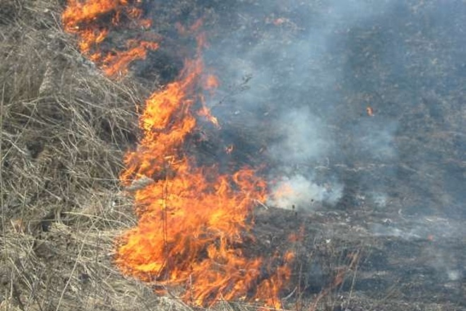 За минулу добу на Львівщині виникло 10 пожеж сухої трави
