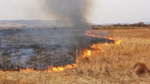На Сколівщині згоріло 700 кв. м сухостою