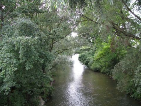 Підприємства Львова забруднюють річку Зубру