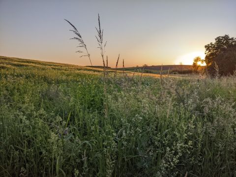 На Яворівщині землю зі ставками повернули у комунальну власність