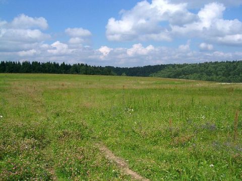 Яворівського посадовця судитимуть за землю