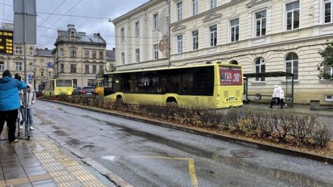 Водія львівської маршрутки, який збив на переході дівчину, засудили до 7 років