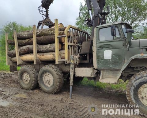 На Старосамбірщині виявили пилораму і лісопилки із немаркованими деревами