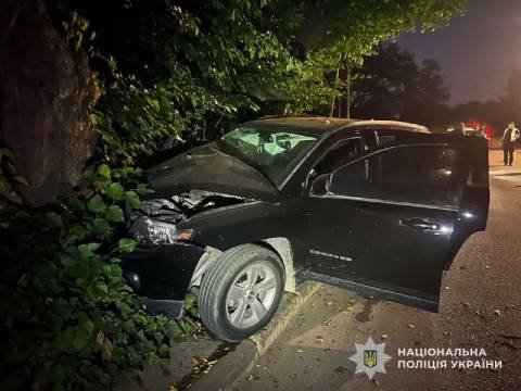 Поблизу Львова п'яна водійка Jeep Compas в'їхала у дерево: є постраждалий 
