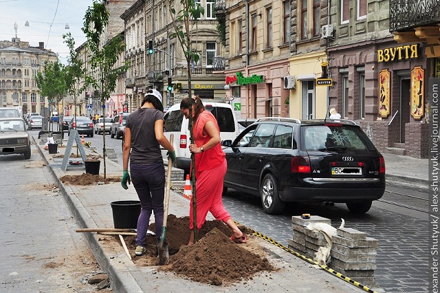 На озеленення Львова передбачили мільйон гривень