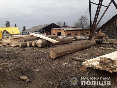 На Львівщині виявили дві приватні пилорами із нечіпованими хвойними деревами