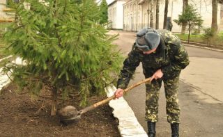 Безробітні та військові «тотально» прибирають Львівщину до Пасхи