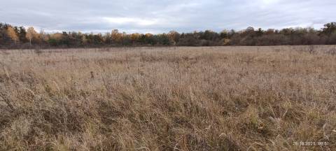 На території Великомостівської громади планують створити новий ботанічний заказник