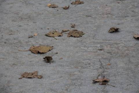 Курс валют у Львові на 25 листопада