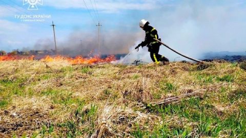 За добу на Львівщині зафіксували чотири пожежі сухостою