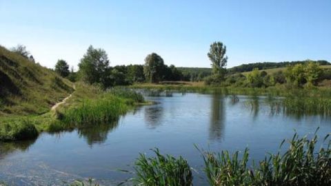 На Львівщині проводиться аукціон щодо оренди ставків