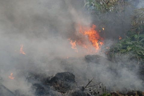 За добу на Львівщині зареєстрували 34 пожеж сухої трави