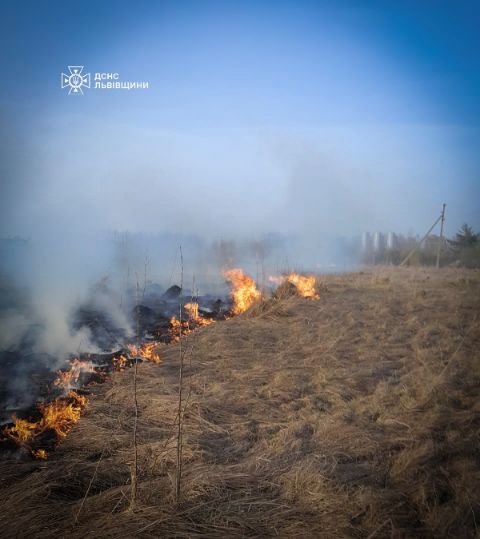 За добу на Львівщині зафіксували п'ять пожеж сухостою