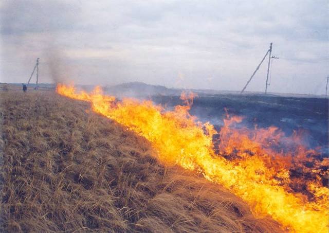 За добу на Львівщині зафіксовано 25 пожеж сухої трави
