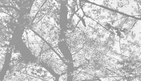 Погода на вівторок: мокрий сніг, +2°C