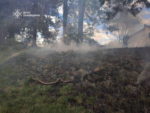 За добу на Львівщині зафіксували 20 пожеж сухостою